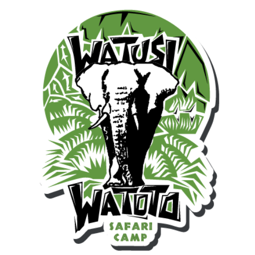 watusi watoto el campamento de África safari